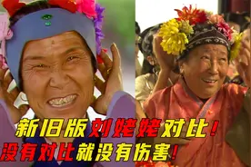 新旧版本刘姥姥对比，一个是本色出演，一个是带资进组！视频封面
