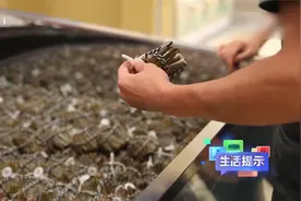 大闸蟹这样储存可存活一周