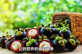 哪些人不适合吃山竹？视频封面