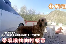 狗狗疫苗价格贵的离谱，疫苗本还要另外收费，懵了，400块？视频封面