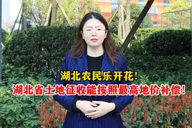 湖北农民乐开花！湖北省土地征收能按照最高地价补偿！视频封面