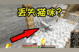 我的世界：找到走丢的宠物可爱的猫咪酱
