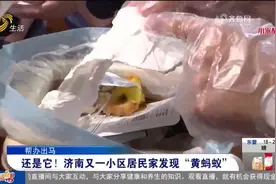 密密麻麻！小区来了成千上万的"不速之客"，居民：它特别喜欢吃肉视频封面