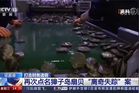 证监会 打击财务造假 再次点名獐子岛扇贝“离奇失踪”案视频封面