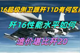 歼16超级侧卫跟歼11D有何区别？歼16性能水平如何？造价堪比歼20