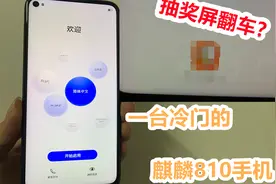 一台冷门的麒麟810手机，前置挖孔后置四摄像头，妥妥的备用神机视频封面