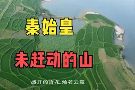 秦始皇未能赶走河南光山杏山，葛洪救人让种杏，司马光砸缸发生地