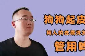 狗狗身上起皮屑，用人的去屑洗发水可以吗？其实做好这2点就行视频封面