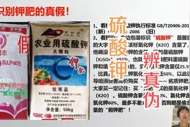 你买的是假化肥吗？钾肥真假识别第二季：硫酸钾的假货辨别方法视频封面