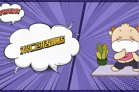 注会CPA经济法：外汇包括哪些？视频封面