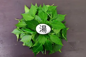 辣椒叶的营养超过辣椒3倍，千万别扔掉，二角钱的成本制作高汤