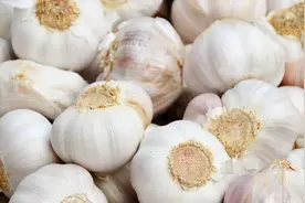 “硒”具有抑制癌症、提高抵抗力的作用！吃这4种蔬菜补硒最快！