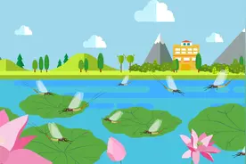 为什么说蜉蝣是古老的生物视频封面