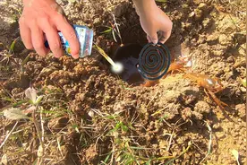 野外实验：蚊香加啤酒是最好的钓虾选择吗？视频封面