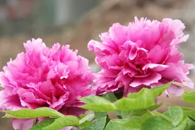 一首《月光下的我和你》今生有缘和你邂逅，手牵手相知相守到永久