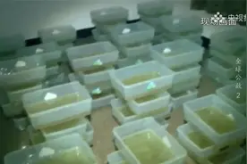 《破冰行动》塔寨村原型：制毒第一村博社村现状视频封面