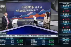 桂浩明：改革后的创业板不会出现爆炒个股行情 因为没有相应基础视频封面