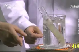 想要加工出好的荔枝浓缩汁很不易，科研人员有何妙招？|走近科学视频封面
