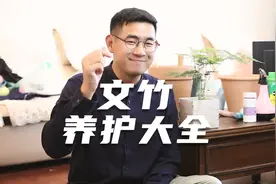 园艺师教你文竹怎么养，这可能是关于文竹，最全面的教程了视频封面