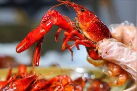 小龙虾是否存在寄生虫？经过实验检测，瞬间脸绿了视频封面