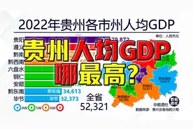 贵州人均GDP哪最高？@DOU+小助手视频封面