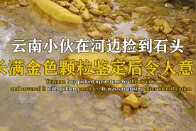 云南小伙在河边捡到石头，上面长满金色颗粒，专家鉴定后令人意外视频封面