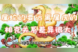 为什么属蛇的要远离属虎的 相克关系差异很大视频封面