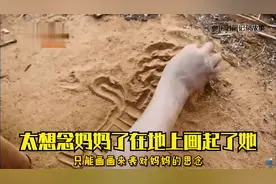 父母的离世，兄弟姐妹四人相依为命两个哥哥承担整个家庭的重担！视频封面