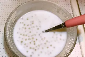 早餐店奶茶店的“椰奶”，是用啥东西做的？终于解开了多年的疑惑视频封面