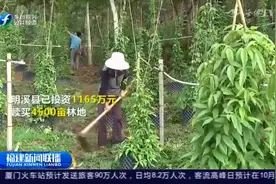 明溪：践行“两山论”，唱响“脱贫歌”|福建新闻联播视频封面