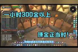 魔兽TBC:P3囤屠魔药剂发财？真正发财的机会正是现在！视频封面