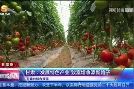 甘肃：发展特色产业 致富增收添新路子视频封面