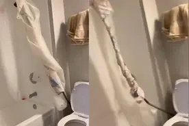 外国网友听见厕所异响 ，跑去一看奔溃大骂，网友却笑翻了视频封面