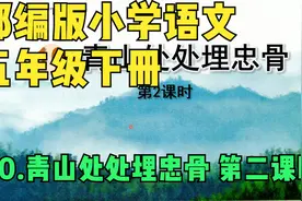部编版小学语文五年级下册10.青山处处埋忠骨第二课时视频封面