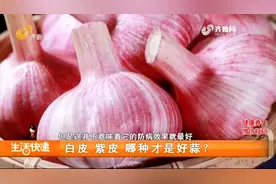 厨房养生补品“大蒜”，不仅能调味，吃对了还能抗菌消炎、降血压视频封面