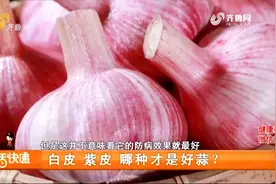 厨房养生补品“大蒜”，不仅能调味，吃对了还能抗菌消炎、降血压视频封面