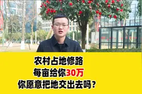 占用农村土地修路，每亩补偿30万，农民朋友你愿意把地交出去吗？视频封面