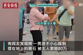 男童街头踩裂一块石头，石头主人当场索赔80万视频封面
