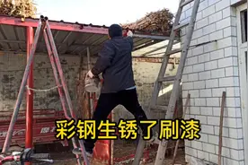彩钢搭了俩年了生锈了，今年也不打磨了直接刷漆，这样就防生锈了视频封面
