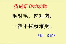 猜谜语：毛对毛，肉对肉，一宿不挨就难受视频封面