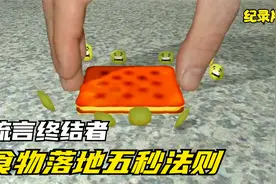 你听说过五秒法则吗？落地五秒的食物，捡起来吃了会怎么样呢？视频封面