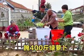 东北大妈腌400斤萝卜咸菜，不同做法农村人都爱吃，过冬不愁了
