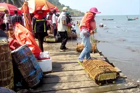中国人在柬埔寨，实拍柬埔寨大型的海鲜市场，100元吃到撑视频封面