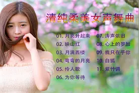 11首清纯柔美的女声舞曲，歌声醉人心脾，好听到爆！视频封面