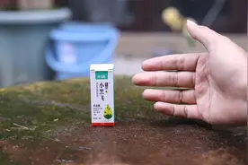 养花长了小飞虫怎么办？园艺师教你，用小黑飞专用，能除虫和虫卵视频封面