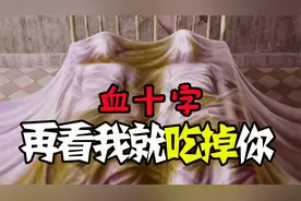 美国乡村爆发丧尸病毒？血十字恐虐来袭视频封面
