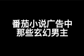 番茄小说广告 从没让我失望之"玄幻篇"