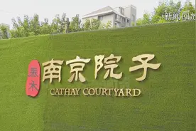 泰禾南京院子物业账目再遭质疑！视频封面