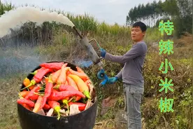 小伙拿特辣小米椒驱鼠，往地洞一熏老鼠立马跑出来，真过瘾！视频封面