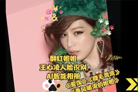 翻红的《乘风破浪的姐姐3》王心凌人脸识别AI智能相册，回忆杀视频封面